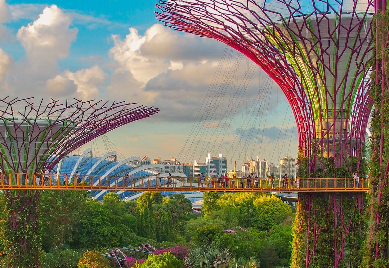 SINGAPORE | Country Coverage