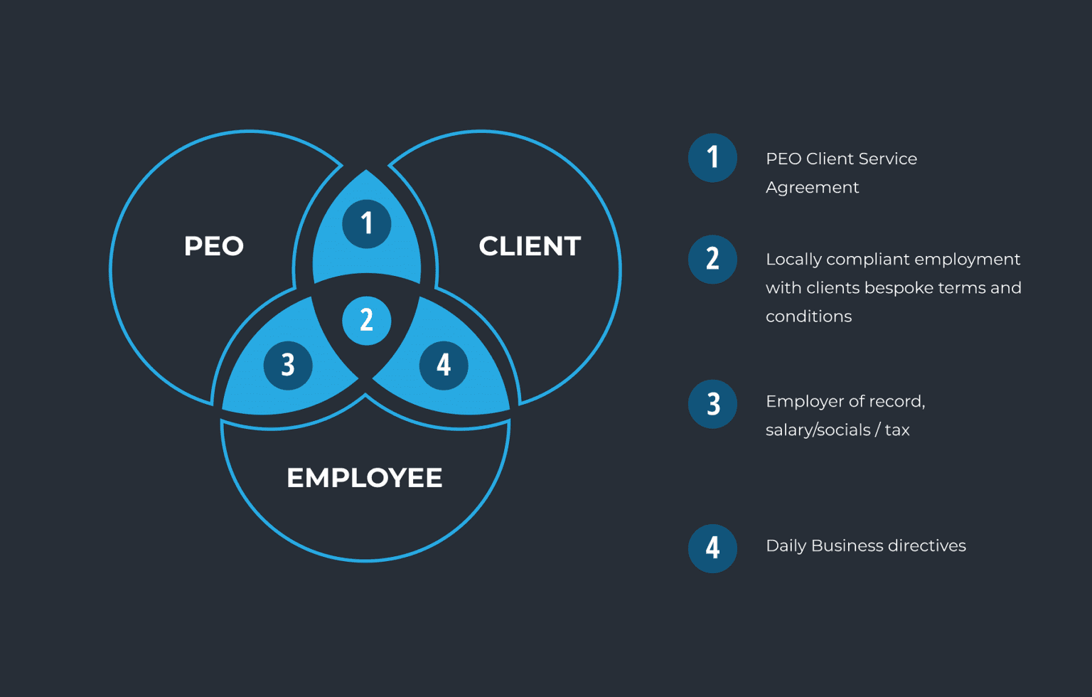 Professional Employer Organization